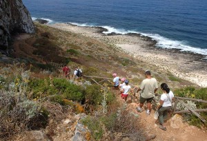 visite-grotta-del-genovese-5